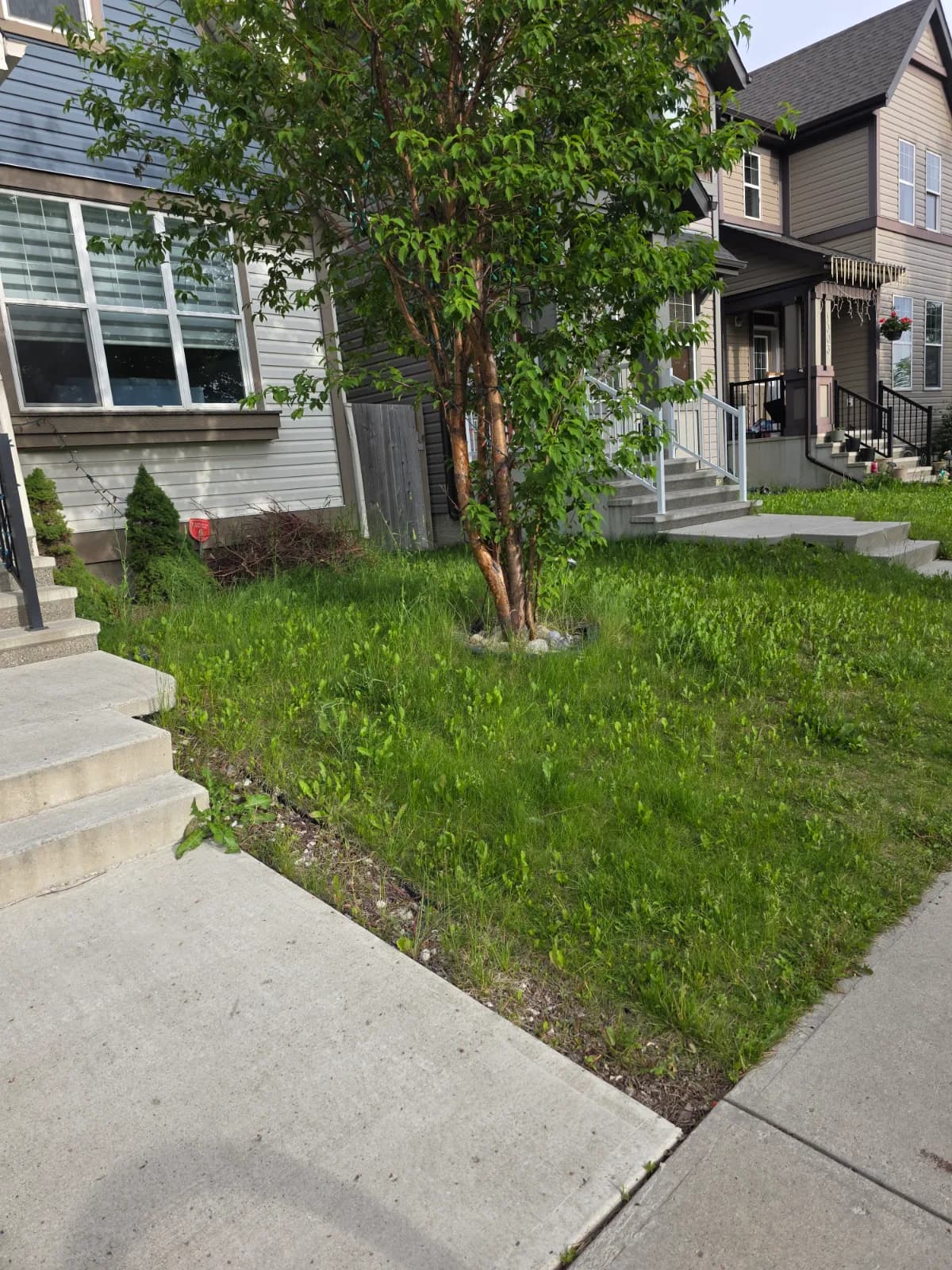 Bruron Landscaping project in Edmonton, Alberta