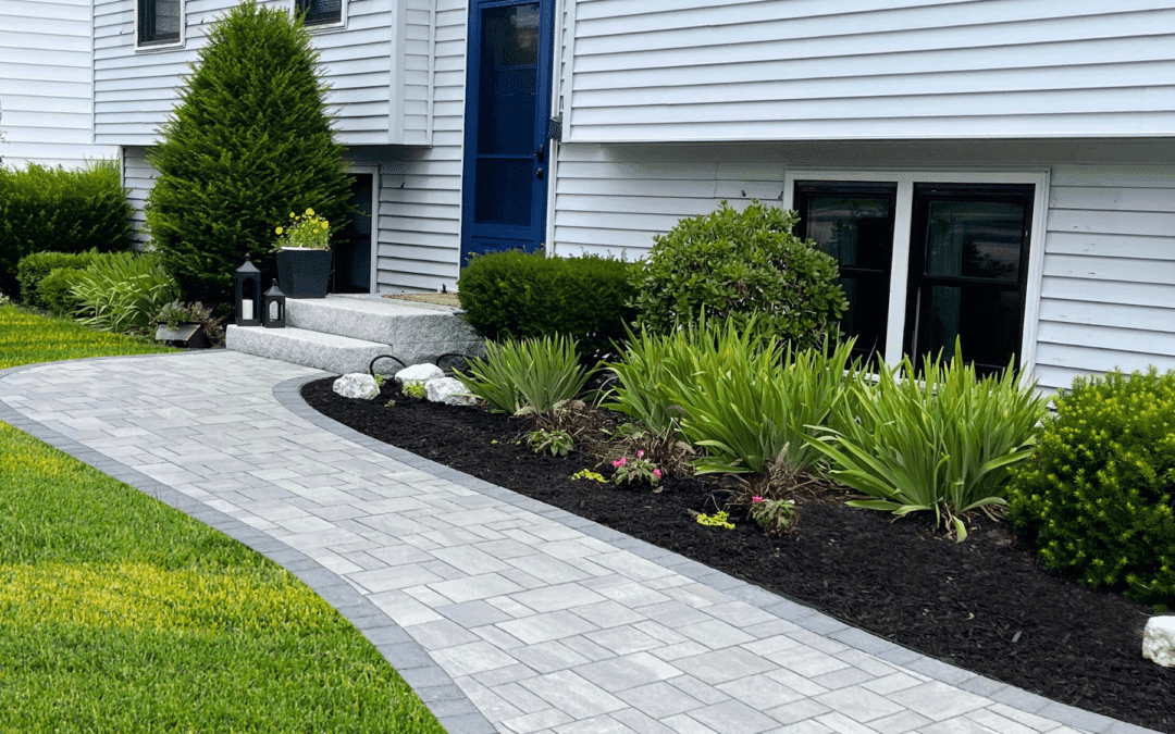 Backyard Transformation after