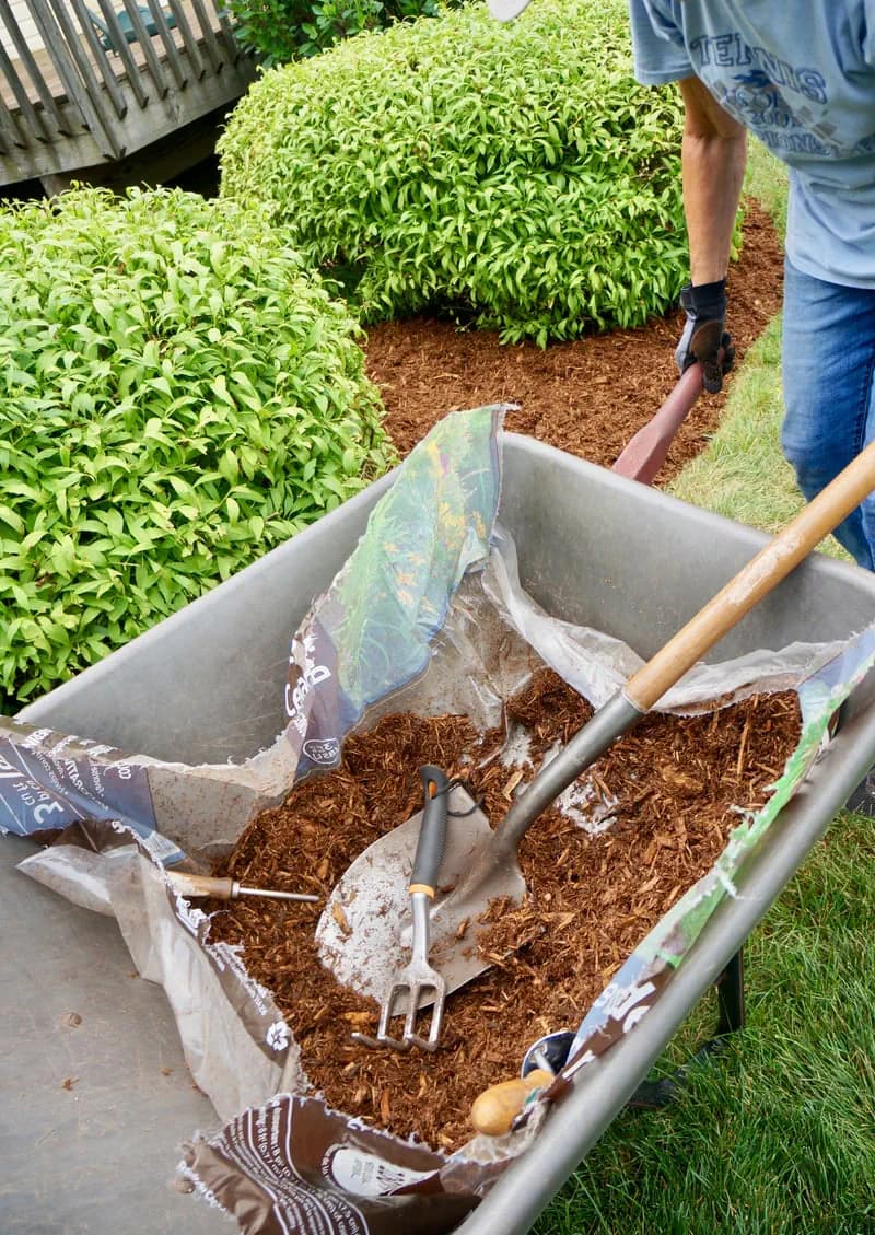 Garden Maintenance