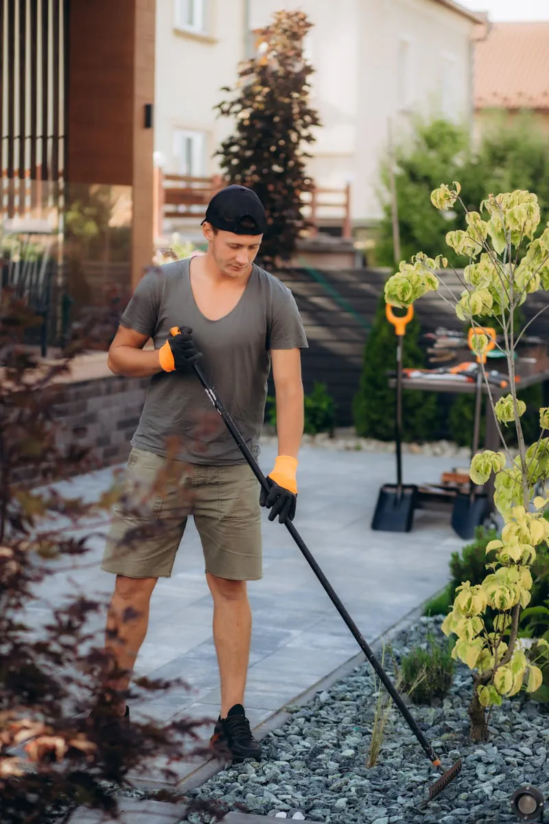 Seasonal Cleanups